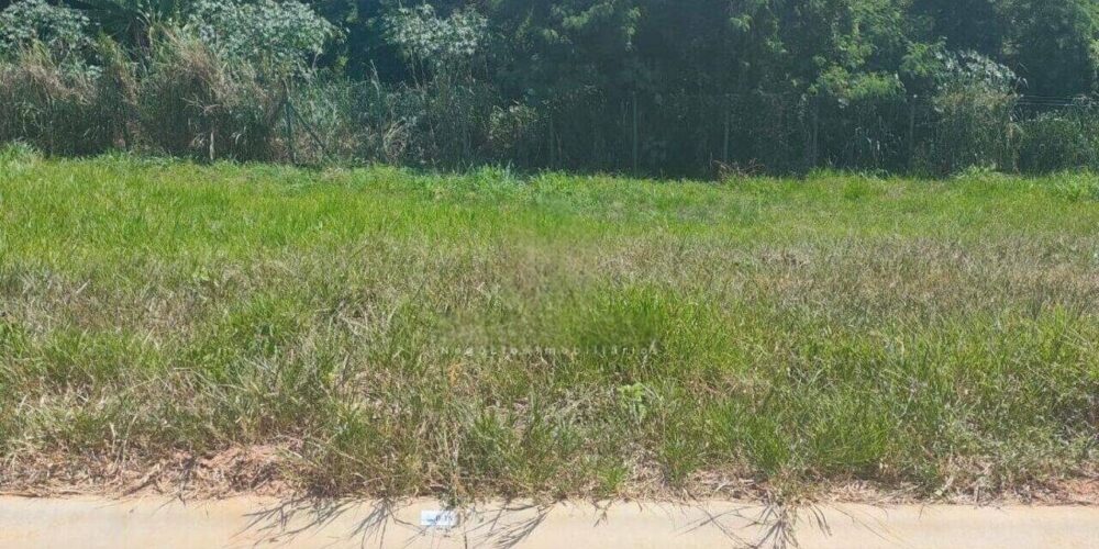 0e631bae0fb85b3846e8618c