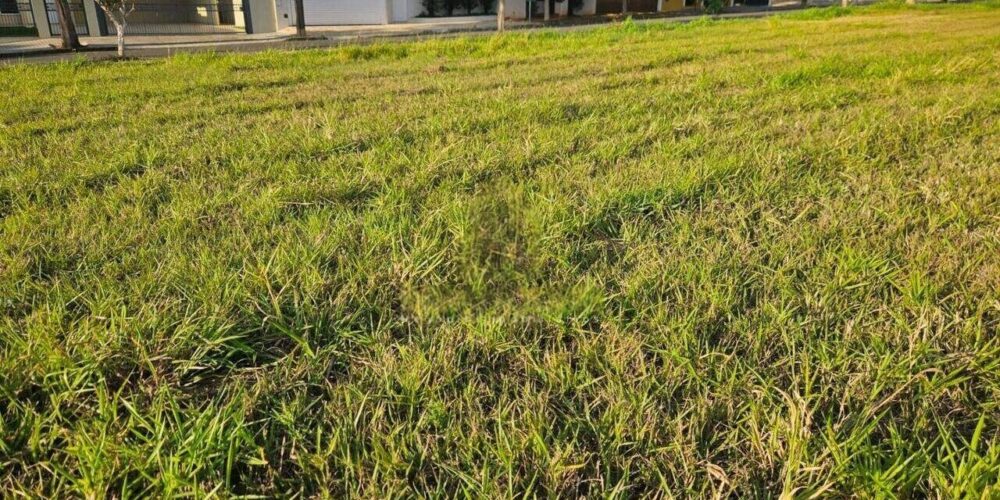 14f33073192e428cb269df38