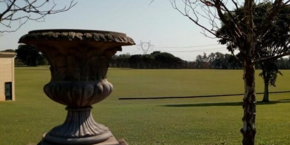 20230315233136839945