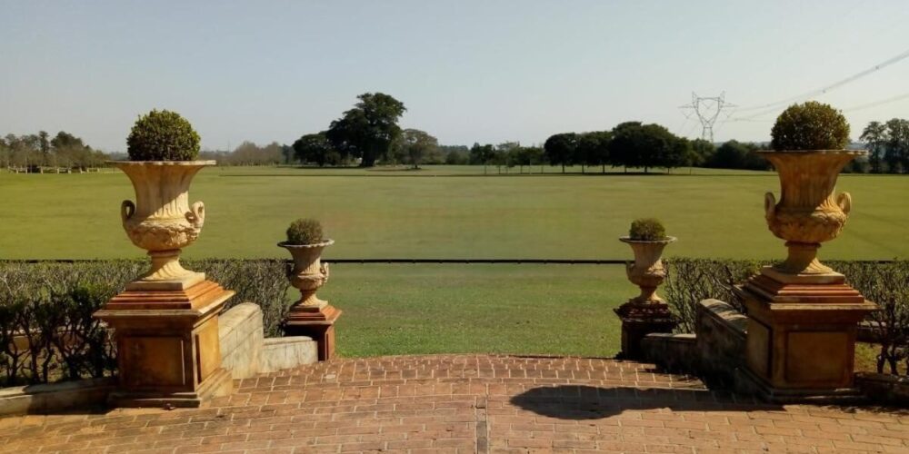 20230315233140505945 (1)