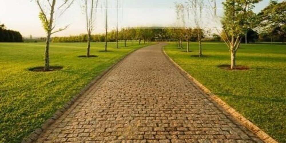 20230315233141888814