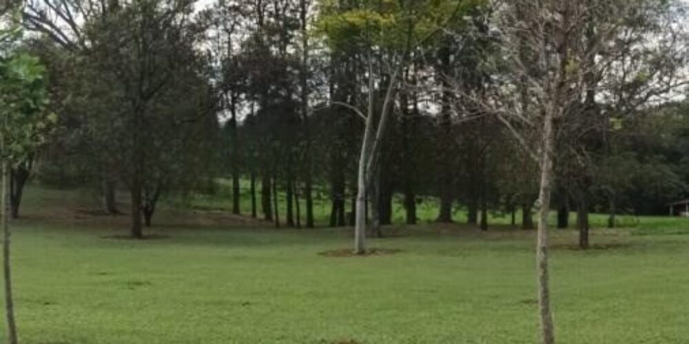 20230315233149448126