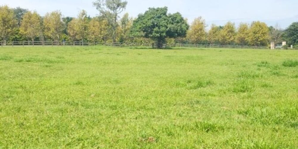 20230315233150745720