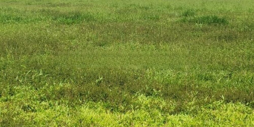 20230315233153889361