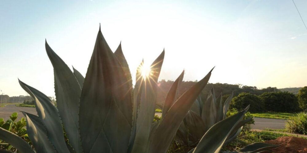 20230627163927373153