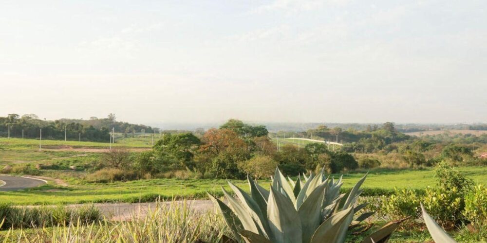 20230627163931835754