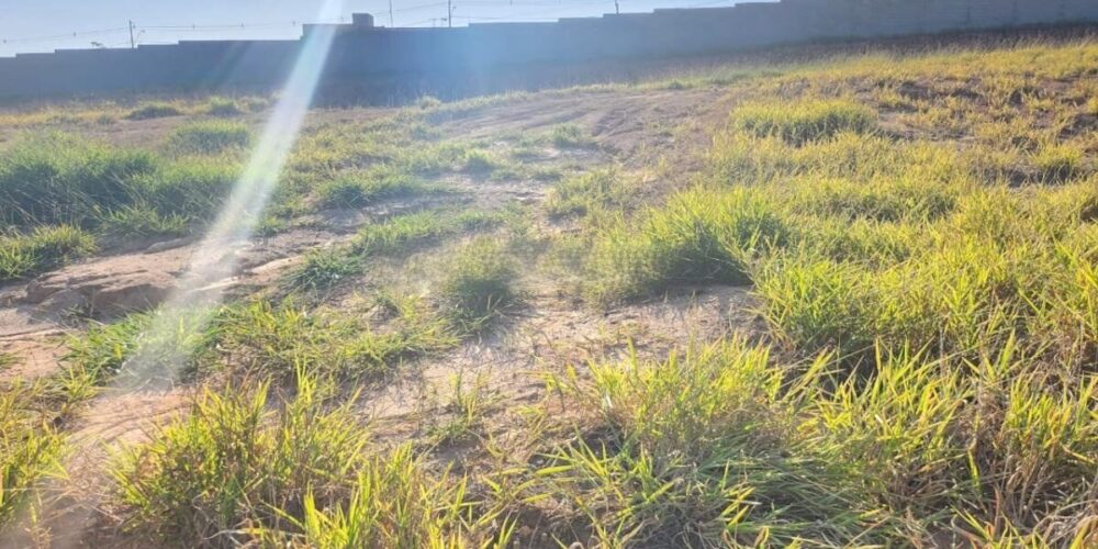 20230627163934207166