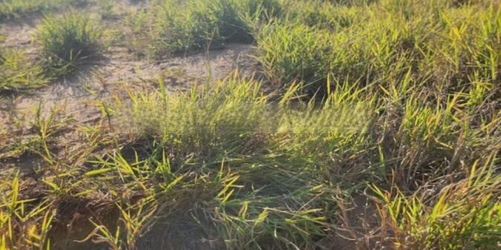 20230627163935723303