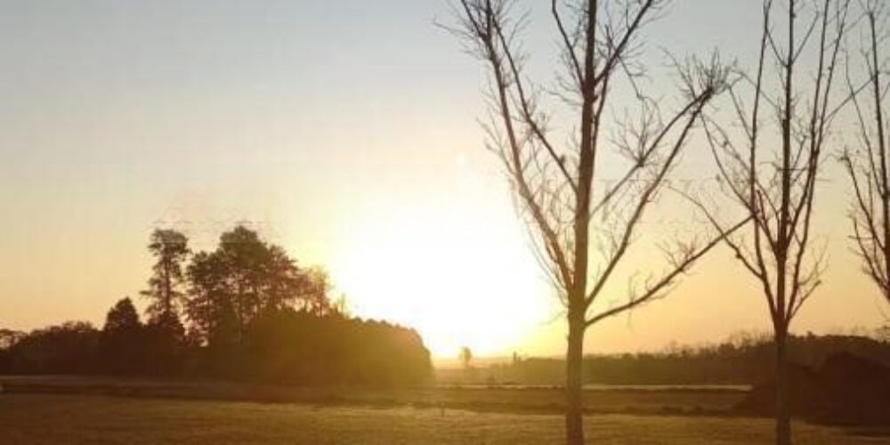 20230804190310349156