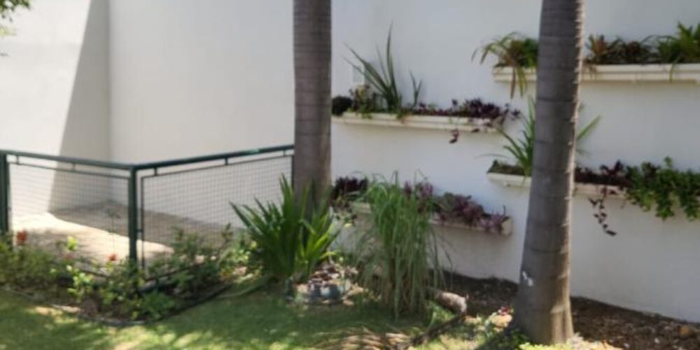 20231117103019416197