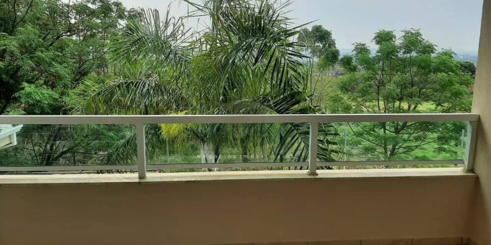 81f80518a14ca49b74b58f65