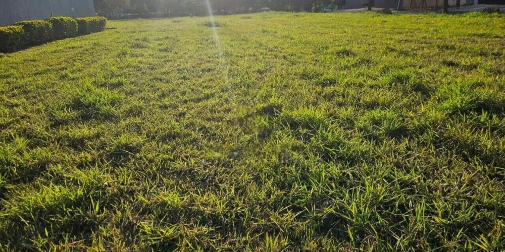 95d29626164143115fca8825