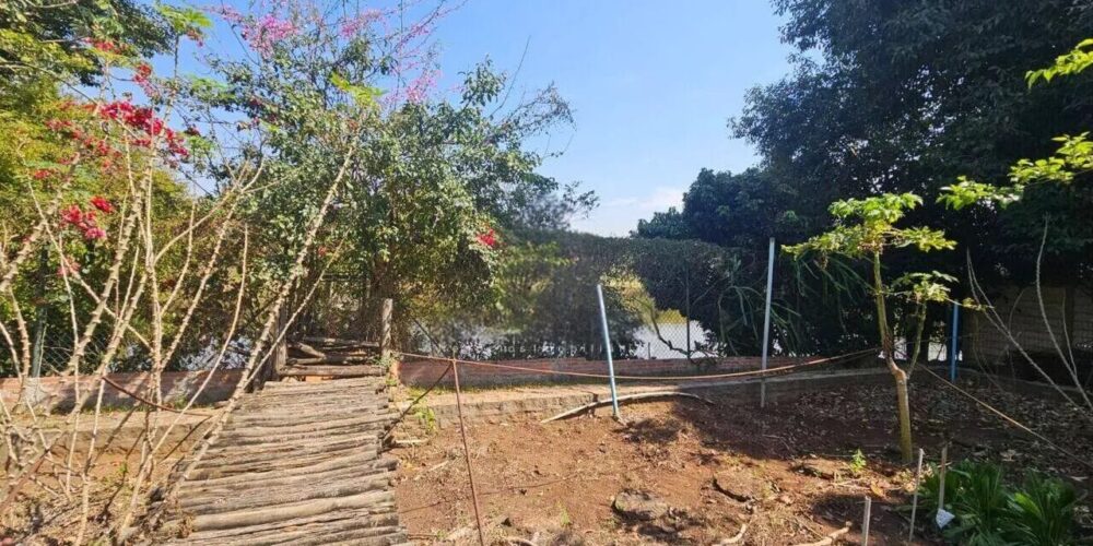 e2e018d607aff78814c66039