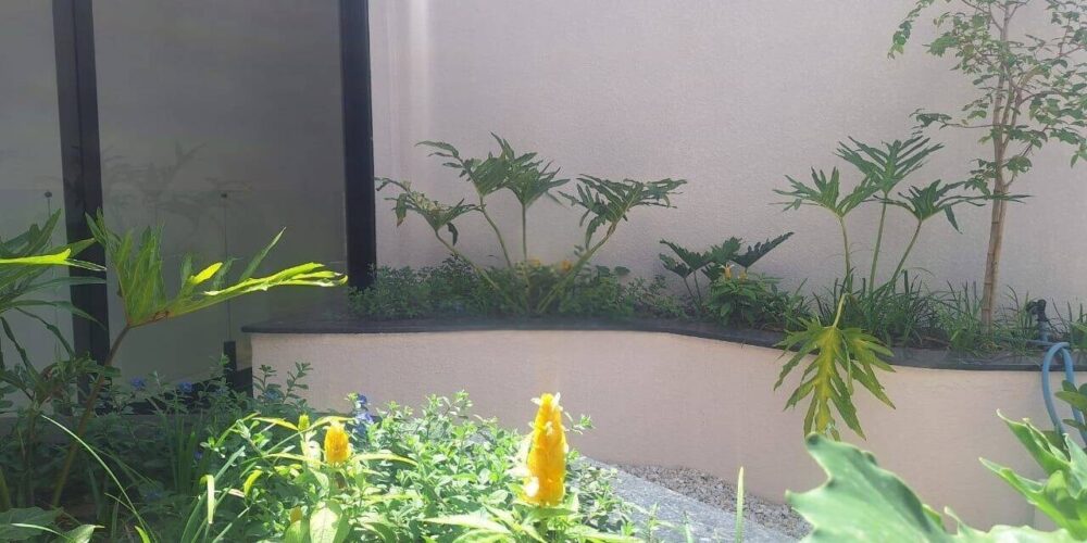 e6c526b37993e57a0c9866f4